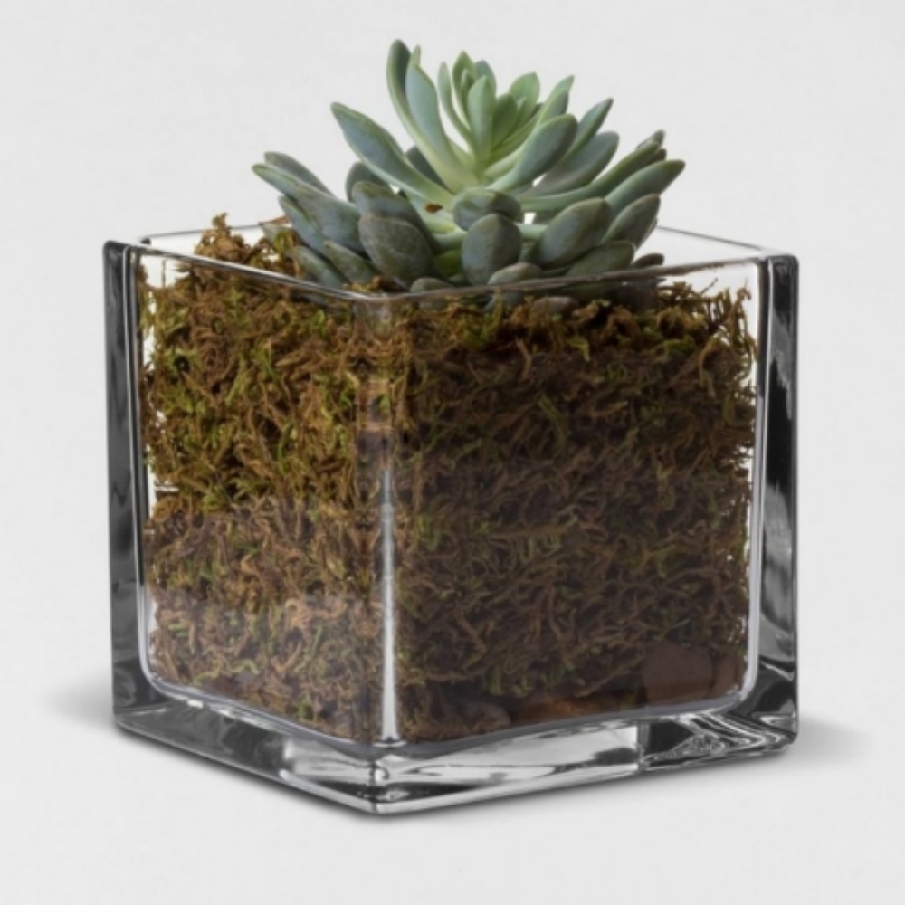 Square Clear Glass Cube Container Flower Vase Bowl Planter Organizer Pen Cup